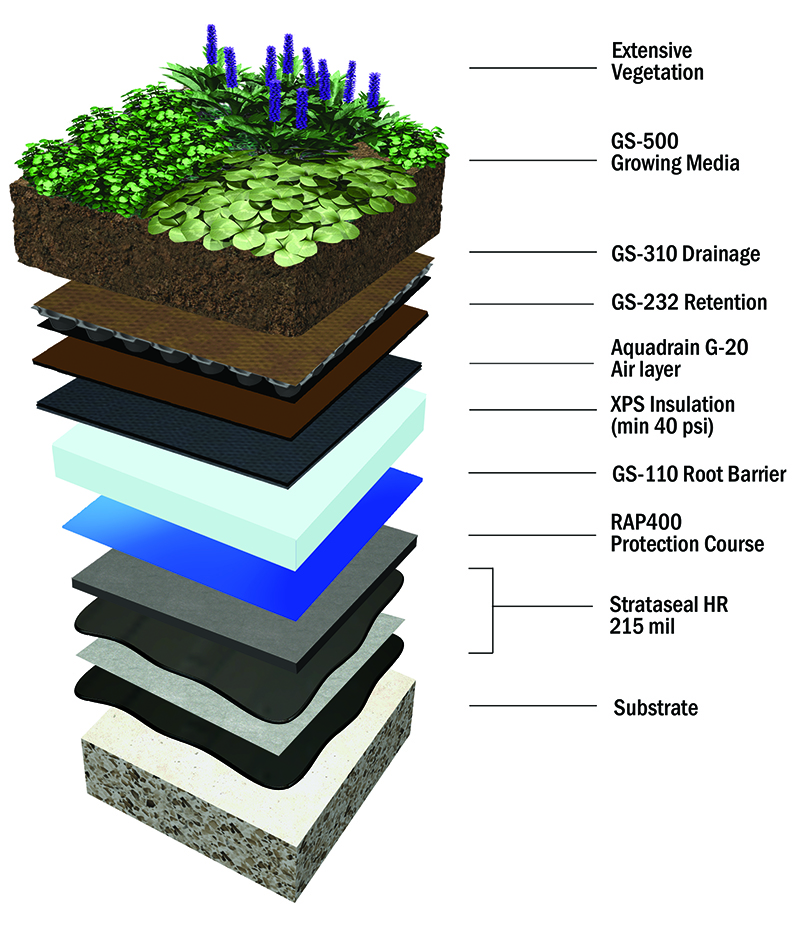 strataseal-hr-extensive-green-roof-assembly-with-insulation strataseal-hr-extensive-green-roof-assembly-with-insulation
