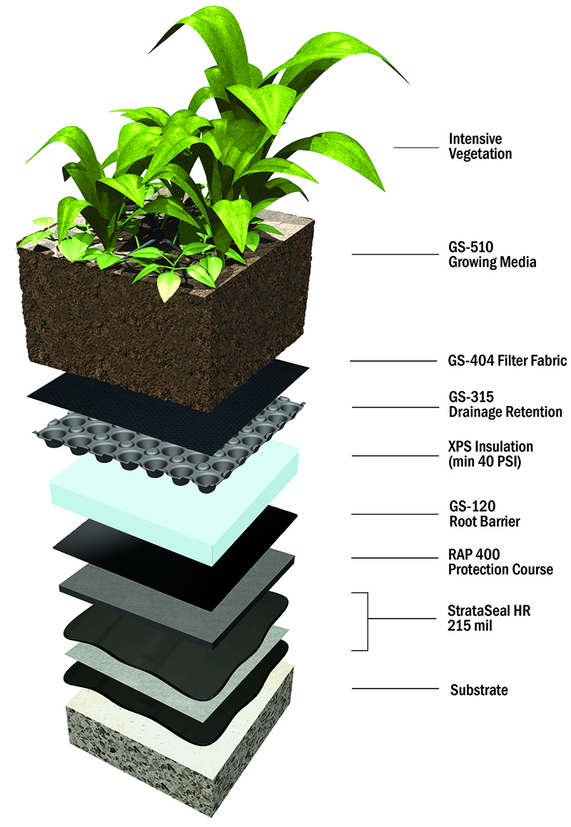 strataseal-hr-intensive-green-roof-assembly-with-insulation strataseal-hr-intensive-green-roof-assembly-with-insulation
